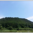 포항시북구39 이미지