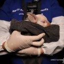 새벽노을2 이미지