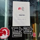 달락달리도낙지 이미지