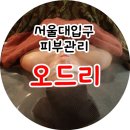 오드리스킨앤바디 이미지