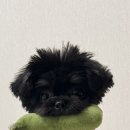 뉴본동물의료센터 이미지