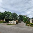 수영약국 | 🥕필리핀 보홀🥕보홀 다아몬드환전소, 약국(화상연고)🥕내돈내산🥕