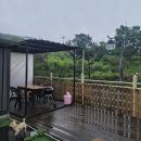 몽모드펫 | 2021. 6-7월 늦은일상 / 울산 메르시 펜션 방갈로 , 장재로167, 댕댕월드 , 어라운드펫 , 쪼꼬첫생파🐶