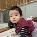 데구르르 | [문화센터] 평촌롯백 오감톡톡 감성놀이 베베스타🤹🏻‍♀️/ 241128 데구르르 물감길 놀이후기