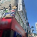 부산 사직 미용실 추천 이디헤어 미남점 남자 포마드컷 아이롱펌 후기