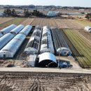 봉남면사무소 이미지