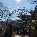 뿌리깊은나무 | 대전근교 나들이 옥천카페 뿌리깊은나무, 대청호 뷰카페 가족모임 후기