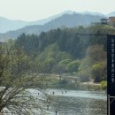 (주)플레인 | [대구] 마고플레인 아양 / 대구 동촌역 카페 추천 층고 높은 금호강뷰 맛집 '마고플레인' 내돈내산 후기