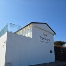 애목장 | 제주 이색데이트 추천, 승마부터 카페까지 즐기는 목장카페 밭디 후기