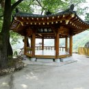 의신 베어빌리지 이미지