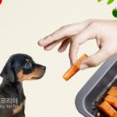 레스펫동물병원 이미지