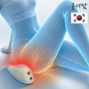 대야옥 | 근적외선좌욕기 도자기형 vs 방석형 직접 비교해 본 현실 후기