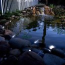 [빌더하우스] 정원 조명 컨셉트 잡기 및 야외조명 꾸미기 part-7(연못 & 분수) 이미지