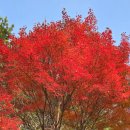 부산종합운동장 아시아드보조경기장 이미지