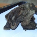 무지개언덕 이미지