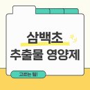 삼백초 | 삼백초 추출물 영양제 고르는 핵심 방법