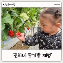 진희네 딸기밭 체험 후기) 21개월 아기와 함께한 첫 딸기 따기