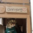 몽땅컴퍼니 이미지