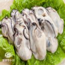 굴 이미지