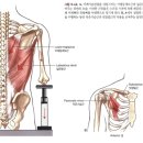 후인 티스토리