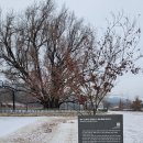 원주굽이길 원6코스 황효자길 이미지