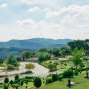 오포안로 이미지