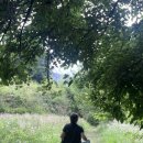 목하 | 통영•거제도 스냅사진 커플&amp;웨딩스냅 목하필름 후기