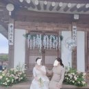 야외 스몰웨딩 후기 #2 베뉴 - 송담고택 한옥 웨딩/ 견적 포함