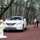 쎄시봉 추억의 음악여행 이미지