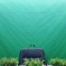 울산중앙초등학교 이미지