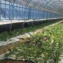 훈 농장 이미지