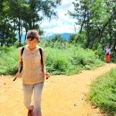 팔룡동500 이미지