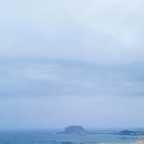 지미돈 이미지