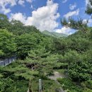 타샤의정원251