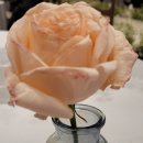 창원농약사 이미지