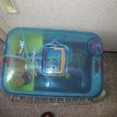 스프링 햄스터 이미지