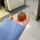 다이니라멘 | 옷이 가벼워지는 계절엔 마음도 가벼워졌다