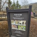 키즈팜 어린이집 | [평창](2.조식/키즈월드/애니멀팜)육아맘 심쿵...아이 중심 여행의 정석, 켄싱턴호텔 평창