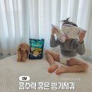 아이샘어린이집 | 흡수력 좋은 밤기저귀 팸퍼스 통잠팬티 어린이집 준비물 아기기저귀