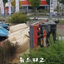 곡교천로 뉴스파고