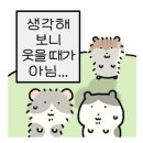Y E O 이미지