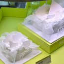 뚜레쥬르 수월점 | 서울 중구 뚜레쥬르 본점 리뉴얼 후기 | 신메뉴 케이크· 샌드위치 | 내부 (사진 포함)