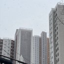 꼼꼼브로우살롱 | [김포/풍무동] 꼼꼼브로우살롱 속눈썹펌 2주 뒤 후기 내돈 내산