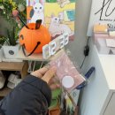 수정아파트 | [익산 영등동 뷰티] 익산 메이크업샵 추천 / 기분좋은 데일리헤어메이크업 후기 : 바이나래