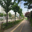 경춘로 이미지