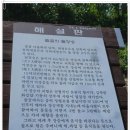 대둘5구간(계족산성길)을 비 맞으며... 이미지