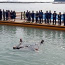 전라남도해남교육청교육장 이미지