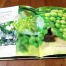 나용농장 이미지