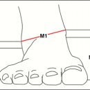 라스트(Last) 설계를 위한 발 계측 방법에 따른 도형 명칭 이미지