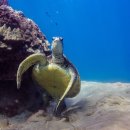 바다속PC 이미지